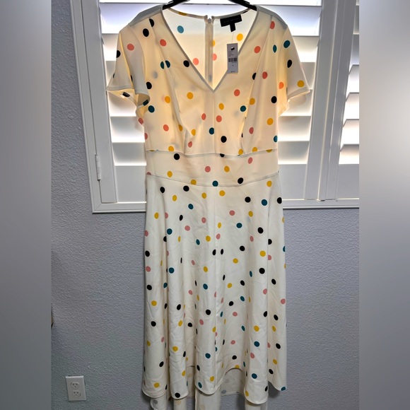 NWT Lane Bryant Size 16 Polka Dot Dress with tie waist - Picture 1 of 5